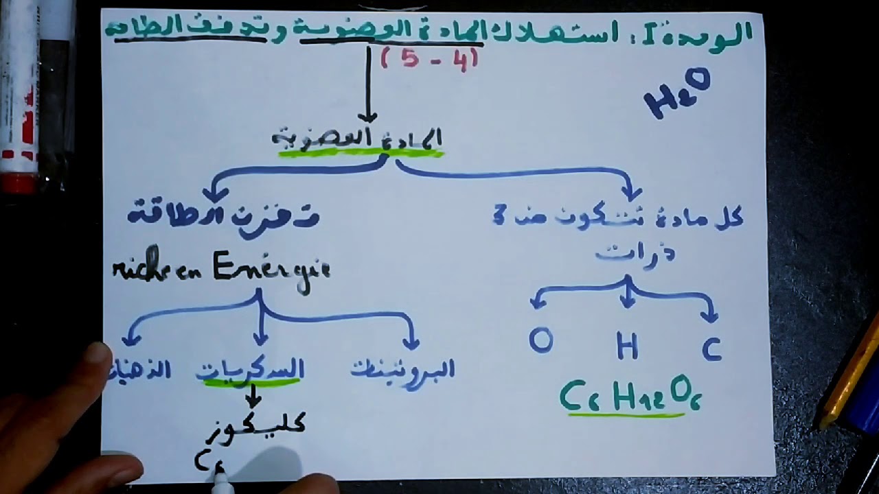 استهلاك المادة العضوية وتدفق الطاقة (بأسهل طريقة)