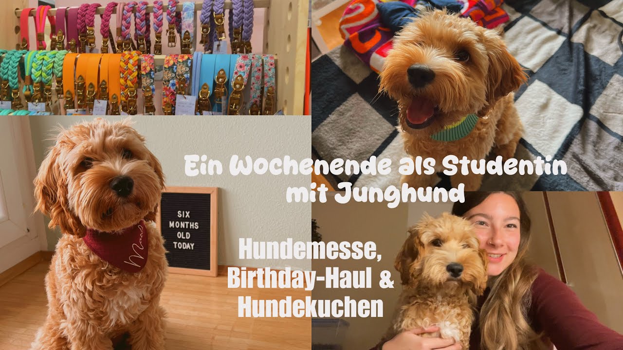 Wochenende als Studentin mit Junghund | Hundemesse, Birthday-Haul und Hundekuchen | Vlog