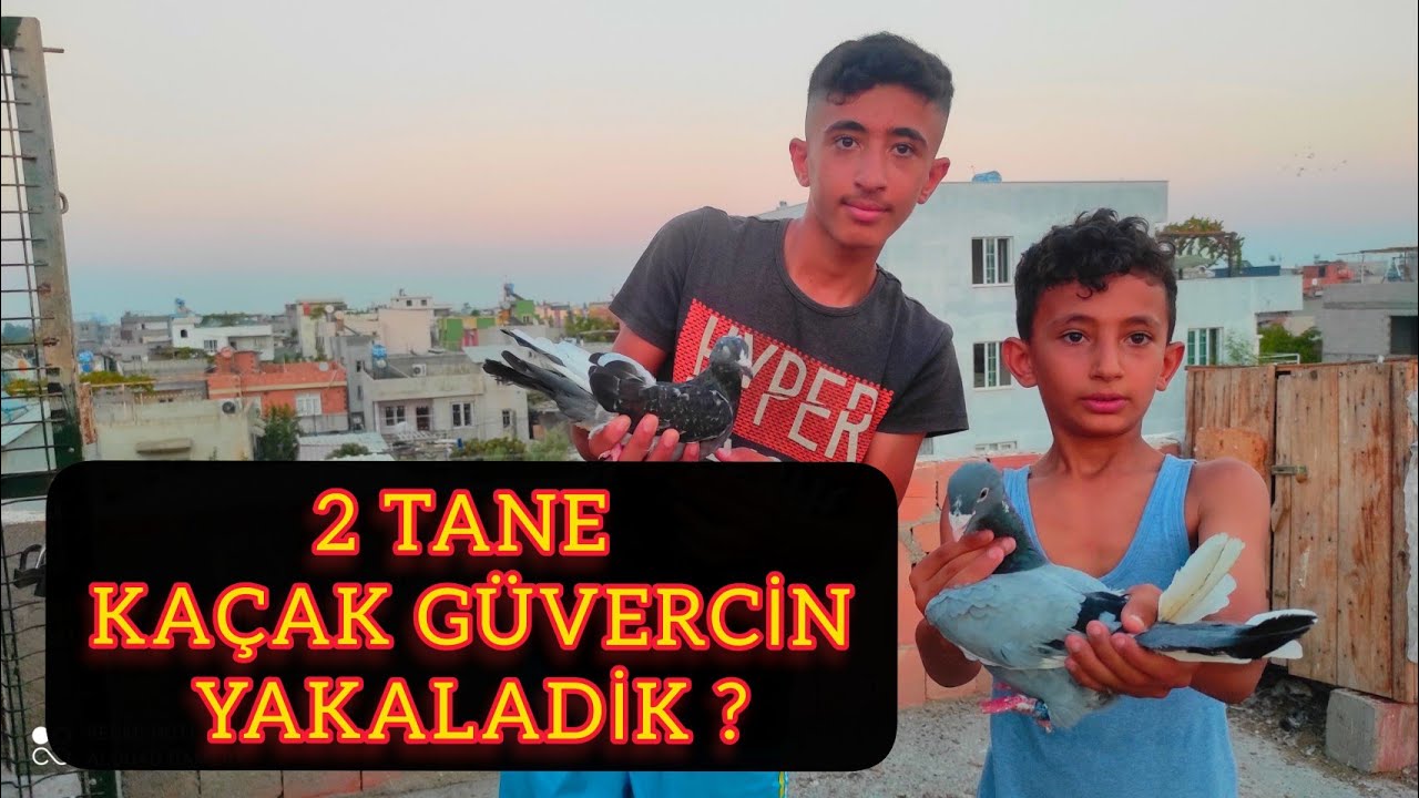2 TANE KAÇAK BİRDEN YAKALADİK ! CAMBAZ VS CUNYİR
