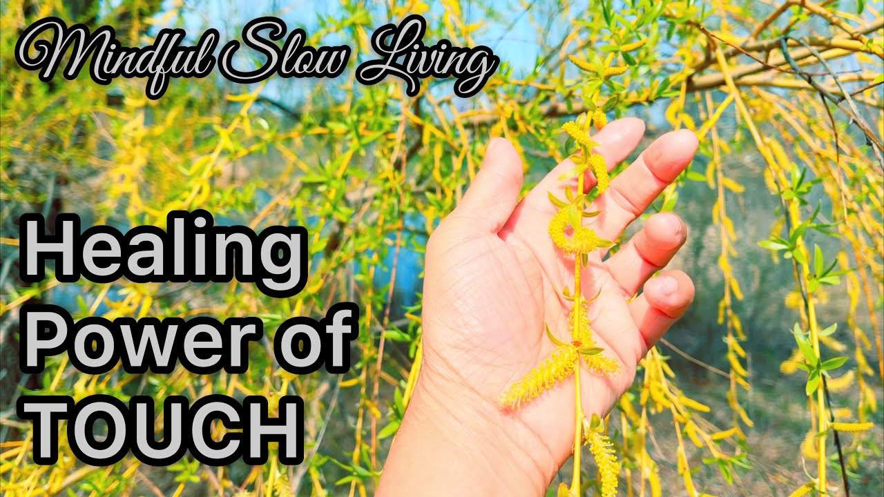 Part 6 - My Guide to Mindful Slow Living - THE HEALING POWER OF TOUCH - Earthing & Forest bathing