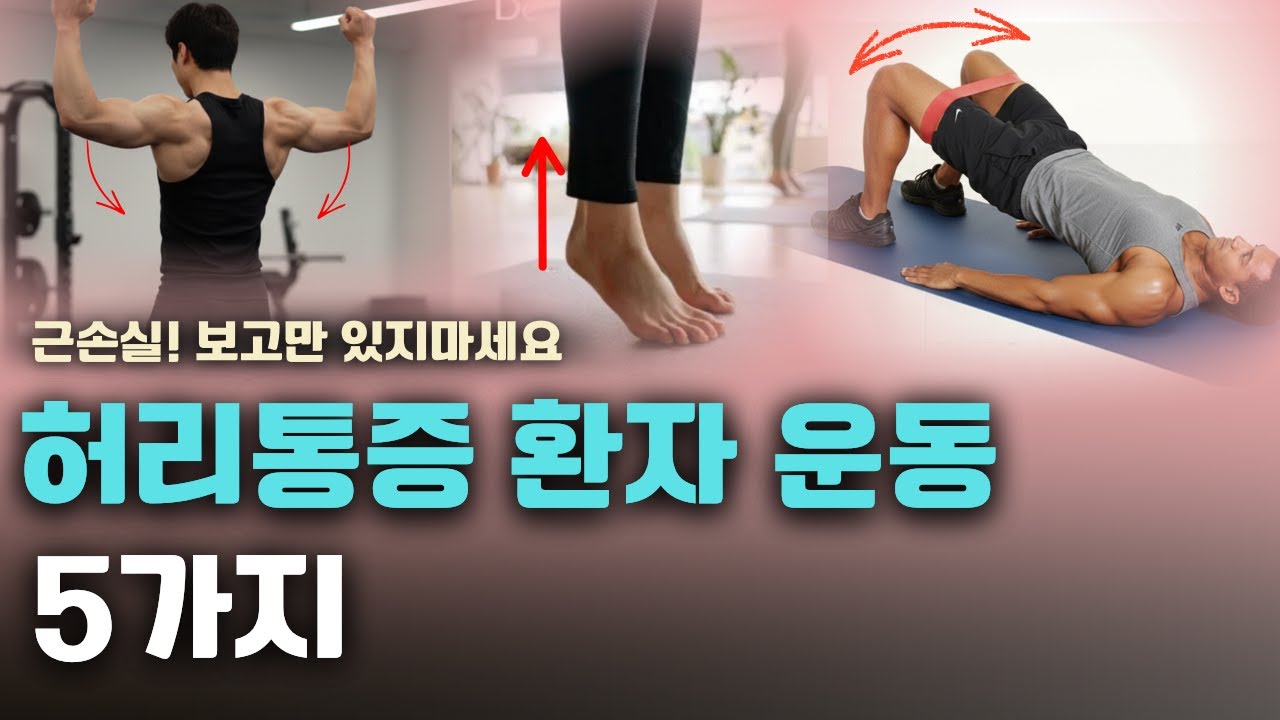 허리통증 환자가 해야하는 근본 근력강화 운동 5가지!(🎁선물)