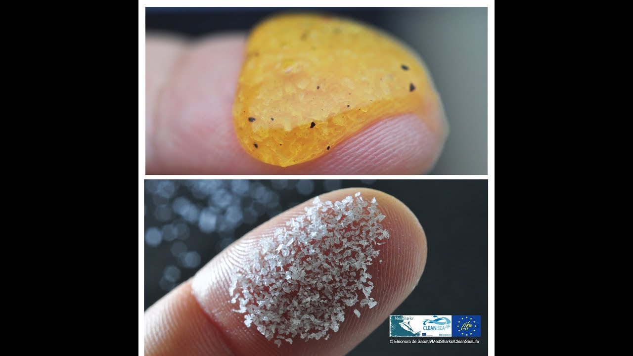 TG3 Leonardo, microplastiche nei cosmetici