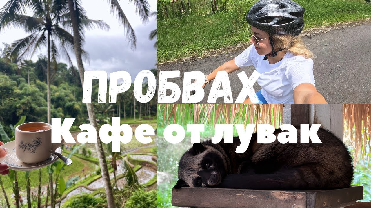 Как живеят МЕСТНИТЕ в БАЛИ? От оризови полета до кафе плантации НА КОЛЕЛО🚴‍♂️🌾