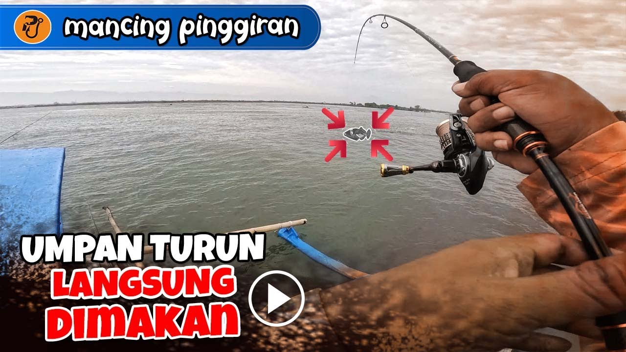 MANCING KAKAP KERAPU II Kalo Ikan Sudah Kumpul, Serasa Mancing di Kolam