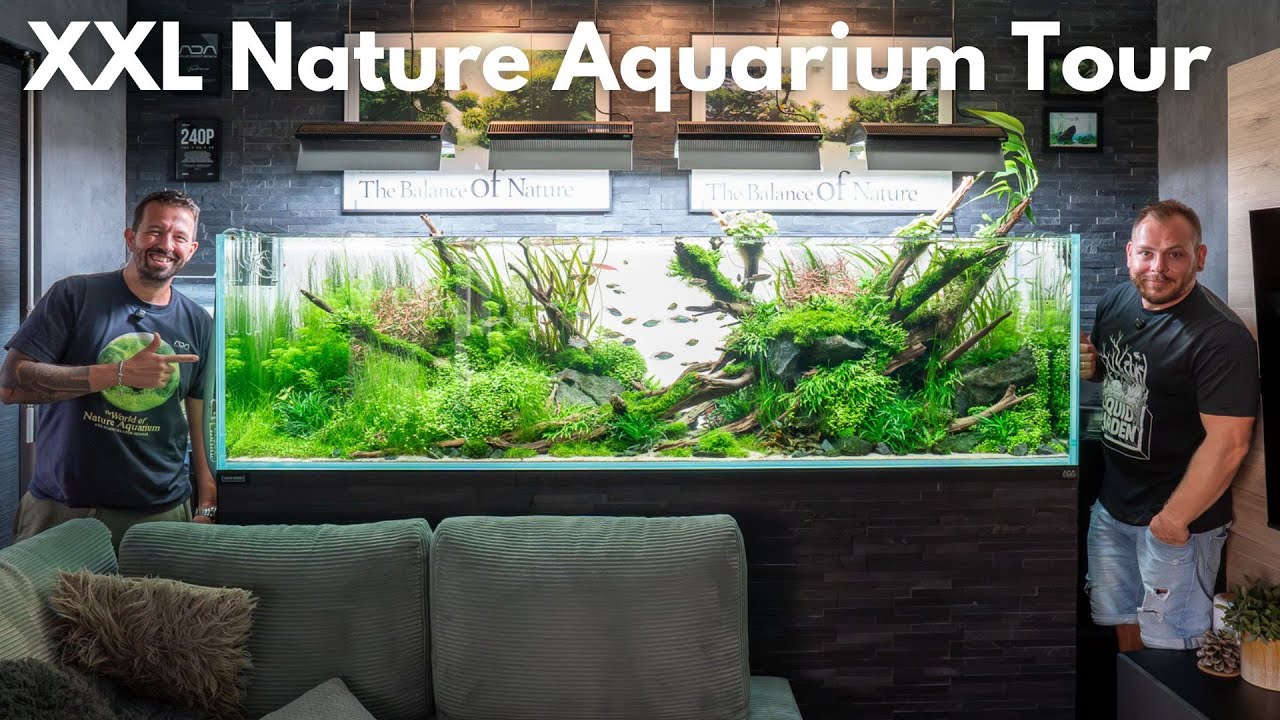 XXL Nature Aquarium bei Mario zu Hause!