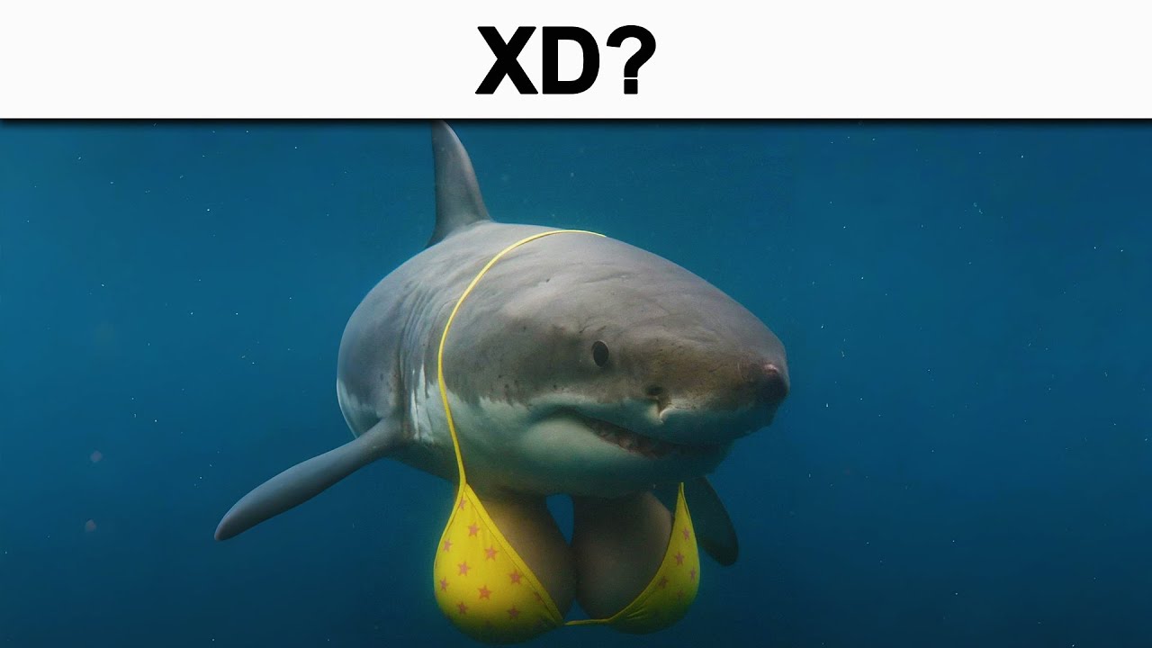MEMES ALGO XD #50
