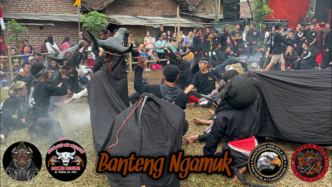Putra Rimba Budaya ft Macan Kembar & Garuda Sakti Live Pacet Selatan || Macanan & Bantengan
