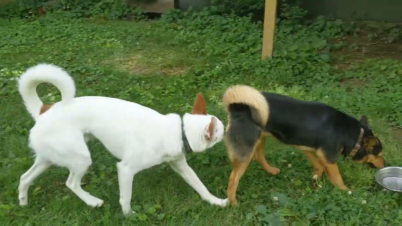 Mimi and Tucker