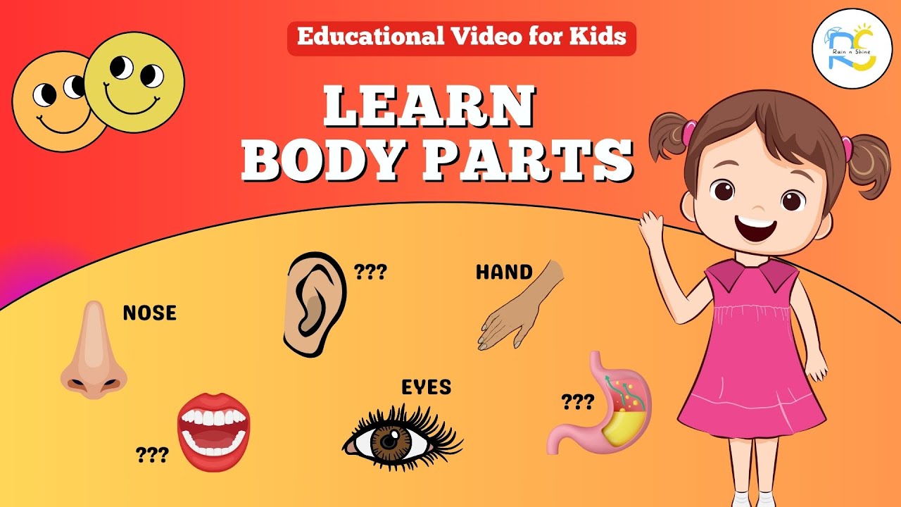 Learn Body Parts Names | Educational Video for Kids | Rain n Shine Kids