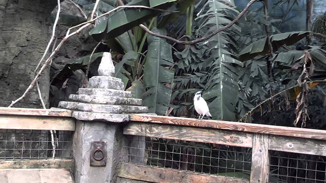 VID 20131014 122521 973