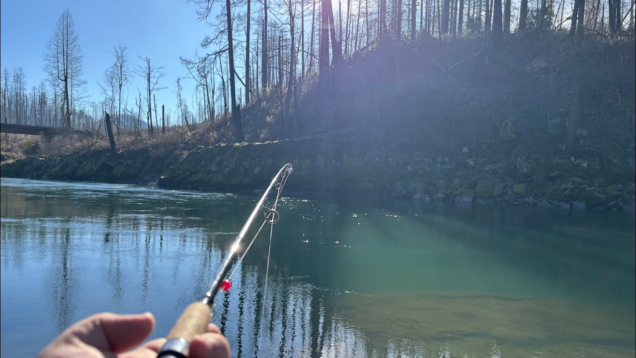 Back out winter steelhead fishing on the North Umpqua River