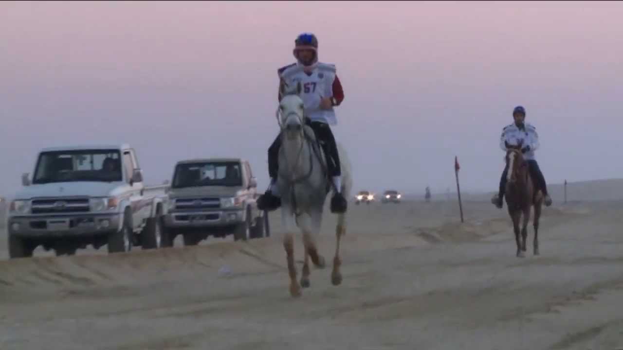 qatar international endurance ride 2014