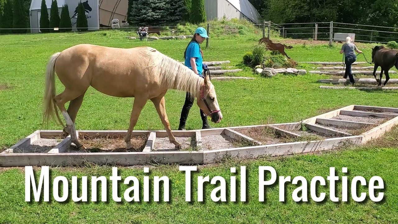 So many obstacles!!!!! Mountain trail practice