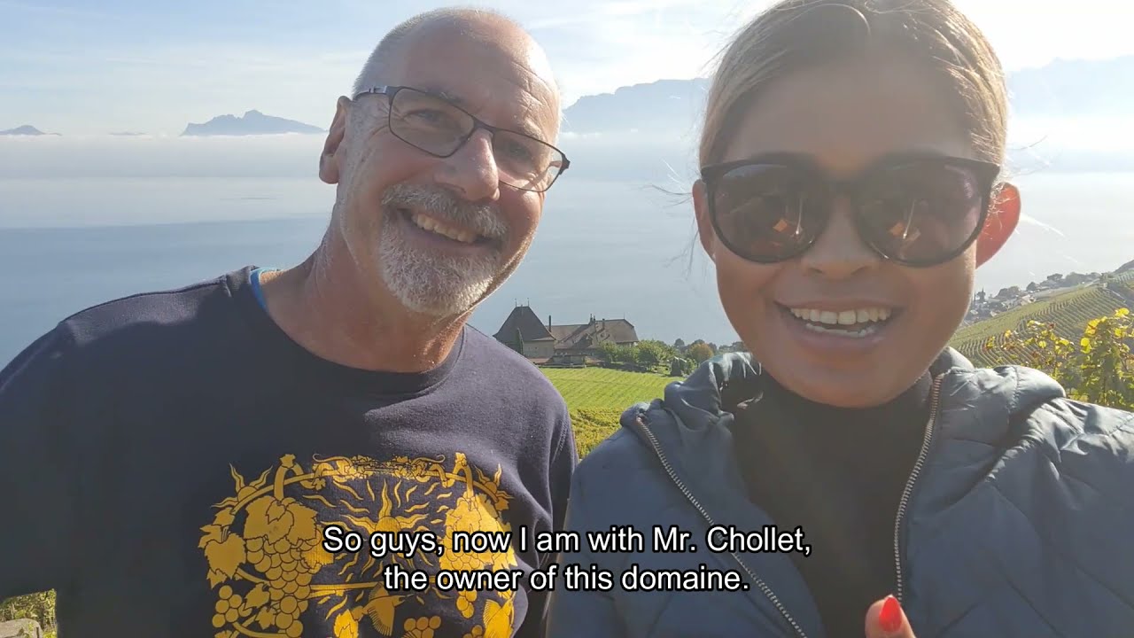 PANEN ANGGUR di LUTRY, SWISS - WINE HARVEST in LUTRY, SWITZERLAND