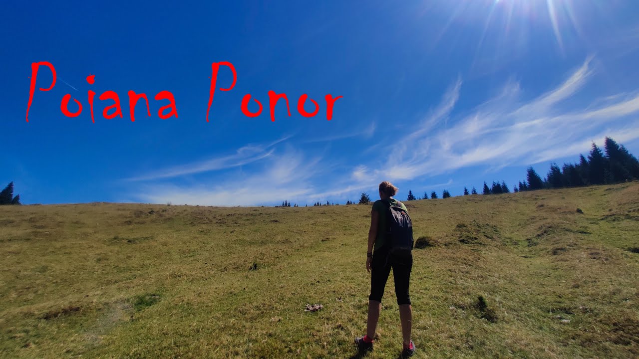 Transapuseni - Poiana Ponor - Padis - Glavoi - Placinte la doamna Maria