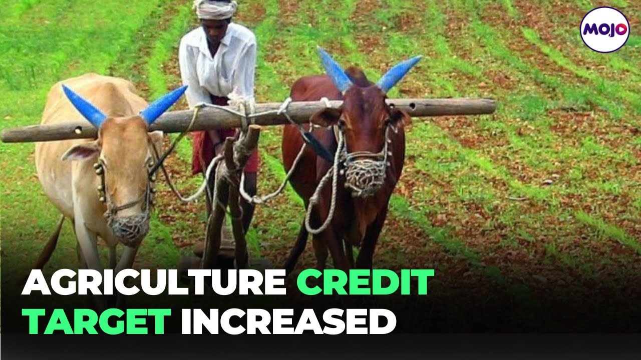 Agriculture Accelerator Fund To Be Set Up, Finance Minister Announces In Budget 2023 Speech