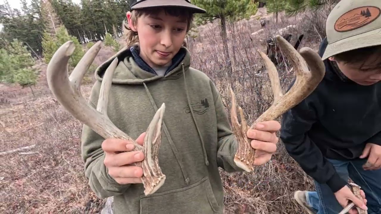 2026 Shed hunting
