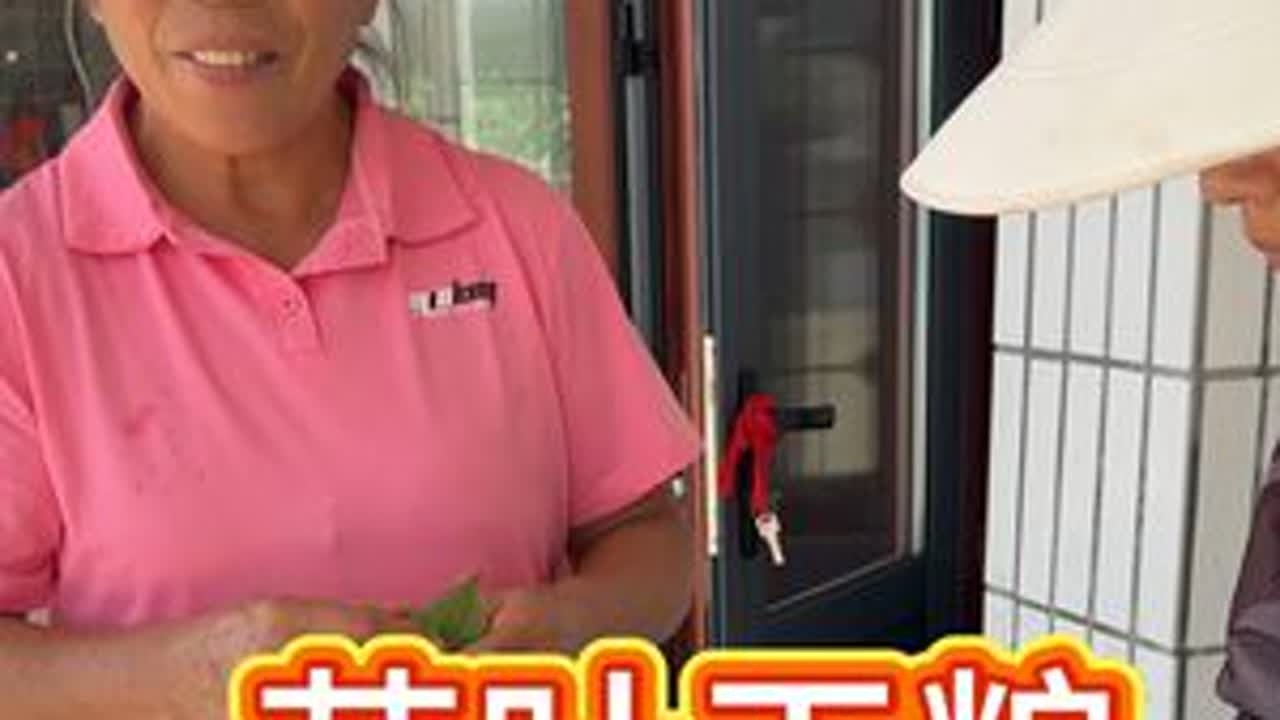 #苏子叶  东北美食 苏子叶干粮 #苏子叶糕