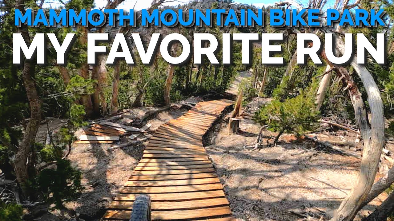 Мой любимый забег сверху вниз | Mammoth Mountain Bike Park 4K POV