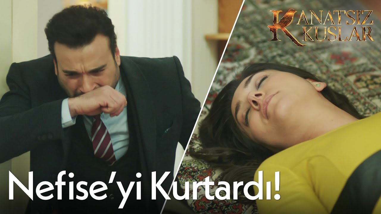 Kemal son anda yetişti! - Kanatsız Kuşlar🕊🕊