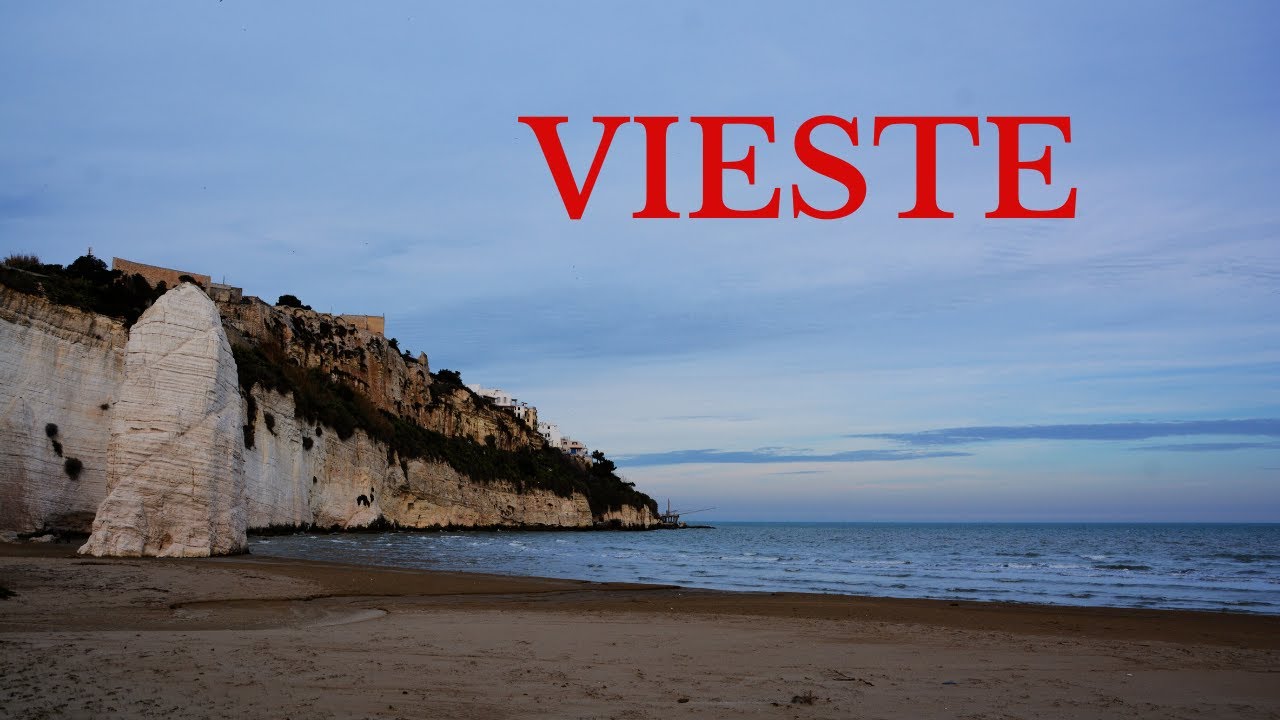 Compare un cane all' improvviso !!!!  #55goamerigo #goamerigo #puglia #camperista