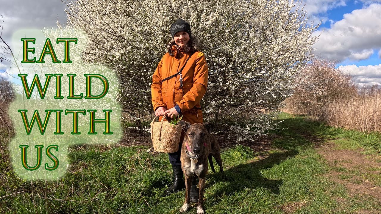 First Spring Foraging & Cooking Wild Greens - Eat Wild with Me