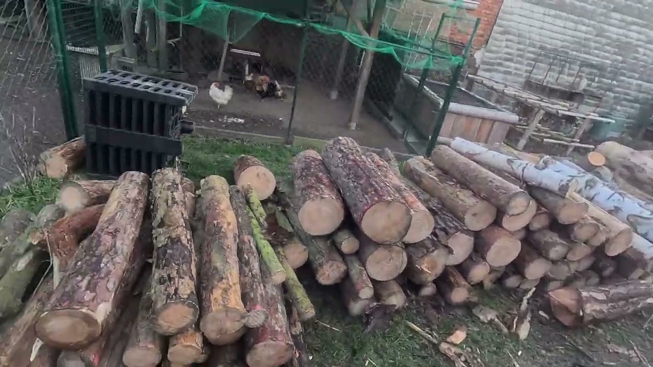 HofVlog:72 Gewicht angefangen und Holz spalten