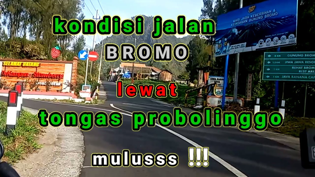 perjalanan ke gunung bromo lewat tongas proboliggo // jalan paling aman & mulus !!!