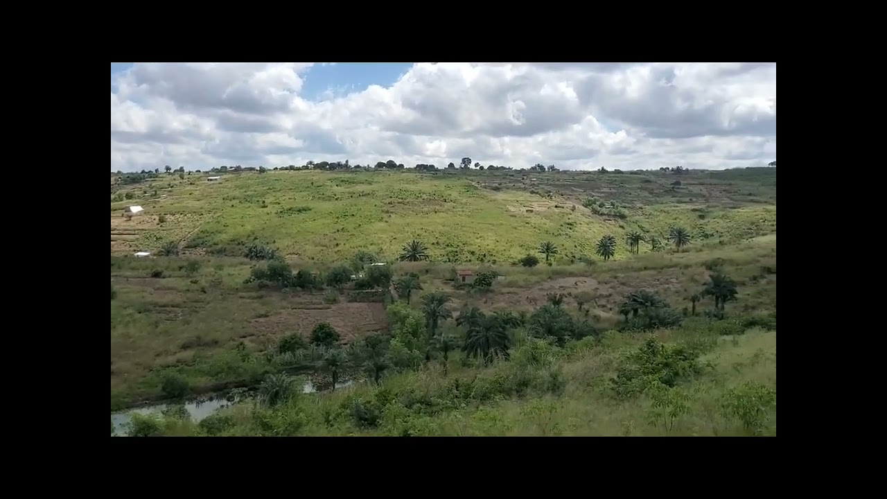 Bosenga ya ba éleveurs: la ferme de 70/100m, avec des étangs à Buma. Pour les détails, +243904090121