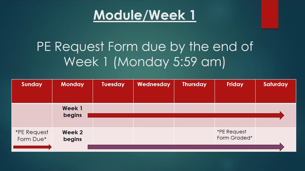 PE Submission Scoring