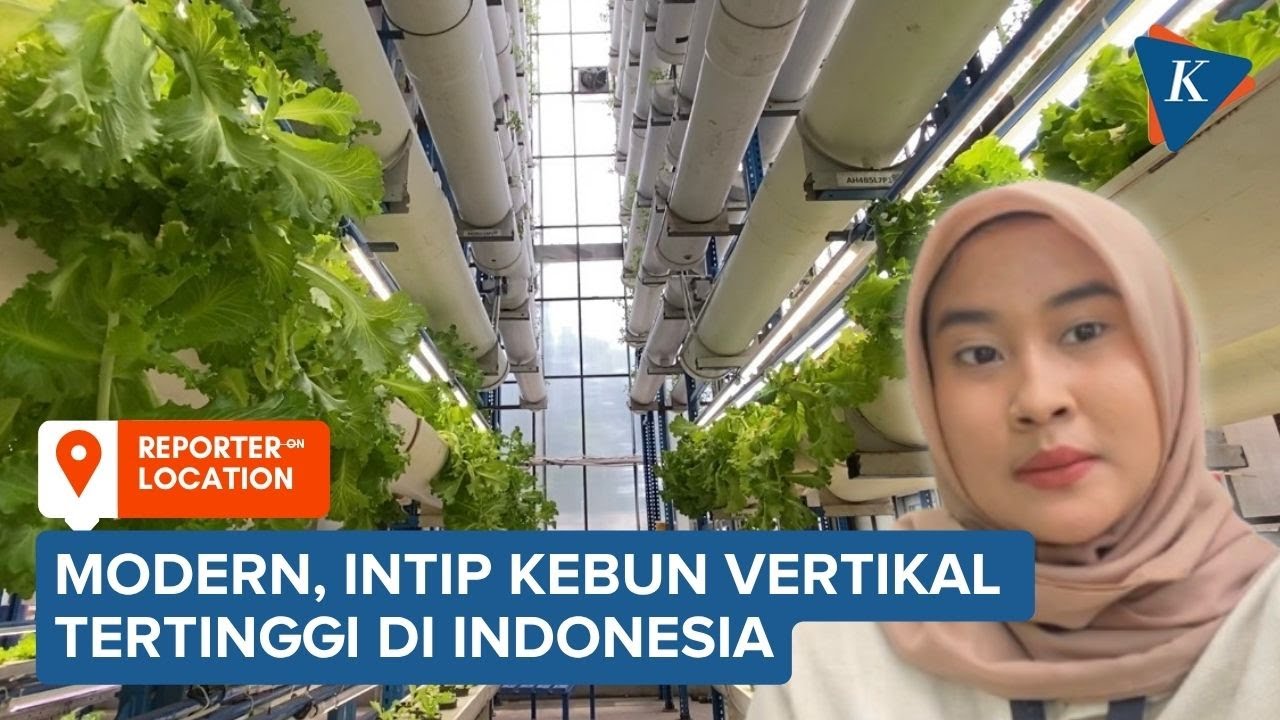 Intip Kebun Vertikal Tertinggi di Indonesia, Setara Gedung 6 Lantai