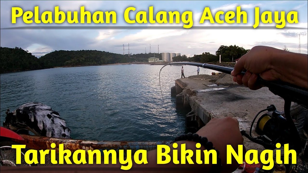 Tarikannya Bikin Nagih - Pelabuhan Calang Aceh Jaya #VlogMancing