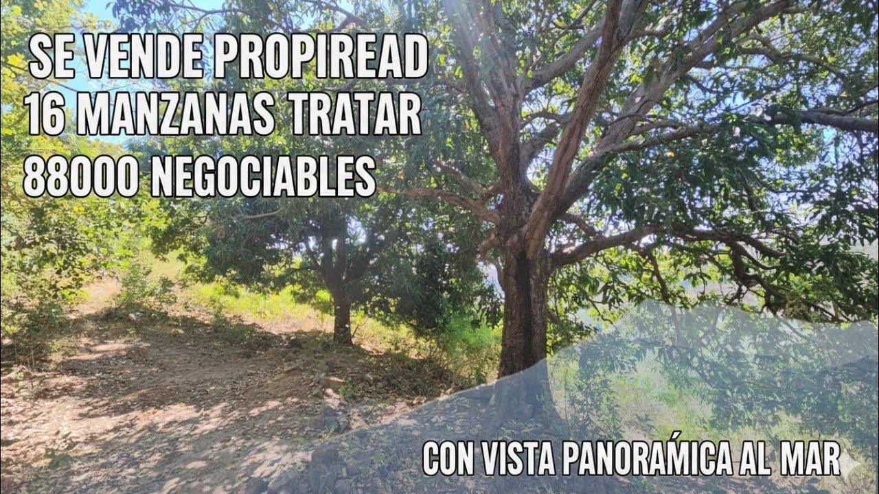 Se venden 16 manzanas en Canton los ponce, distrito de panchimalco departamento de San Salvador.