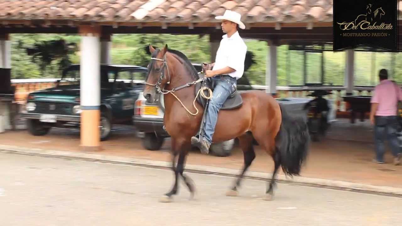 Criadero R A en www.delcaballista.com (HD)