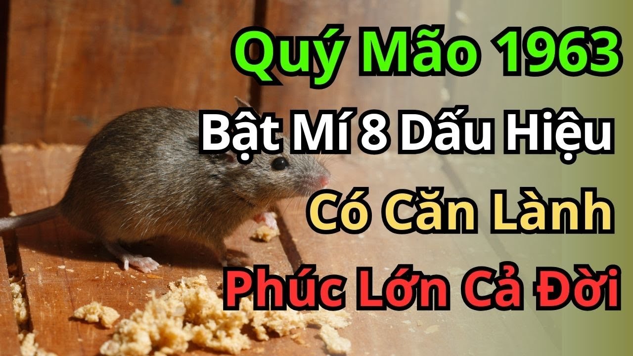 Tử Vi Quý Mão 1963: Bạn Có Phải Người Được Trời Chọn? Xem Ngay 8 Dấu Hiệu Nhận Biết Này