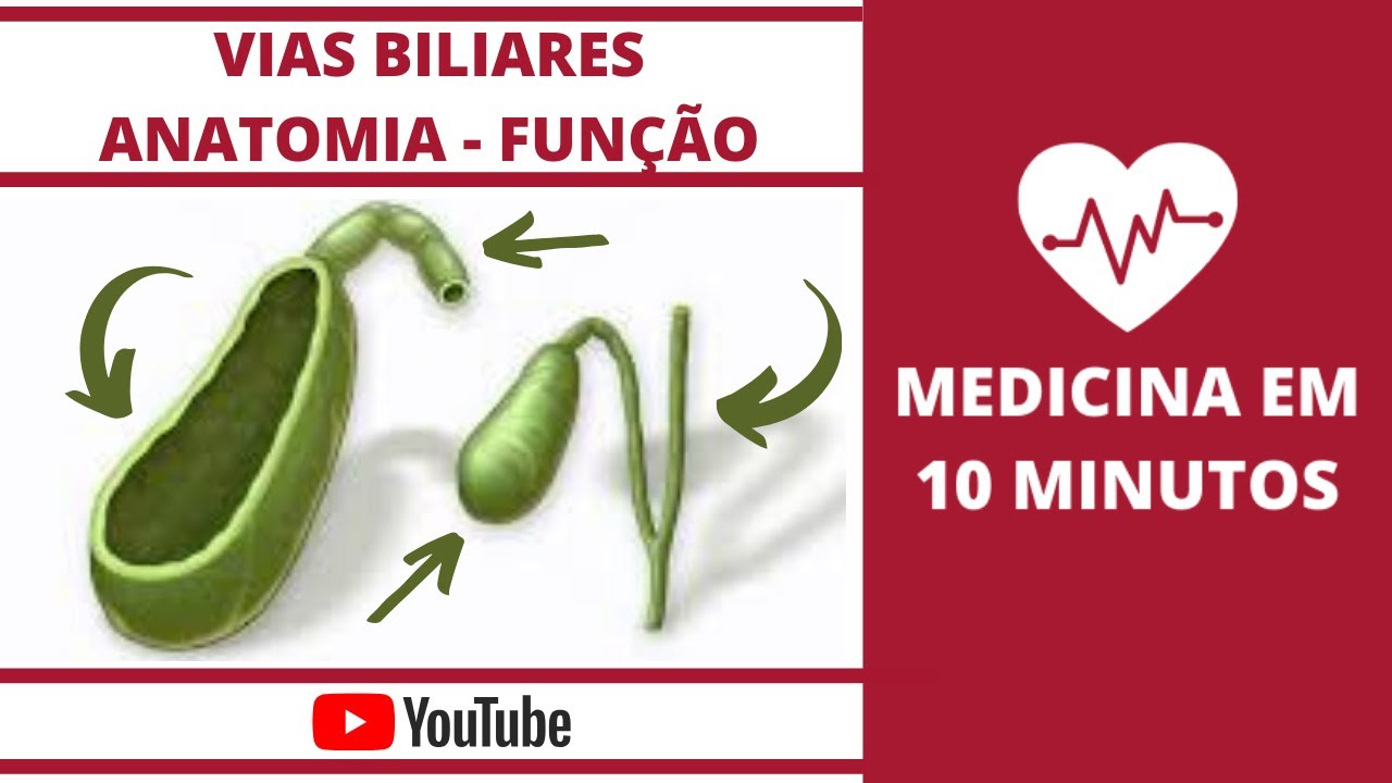 Vias Biliares: Anatomia e Fisiologia