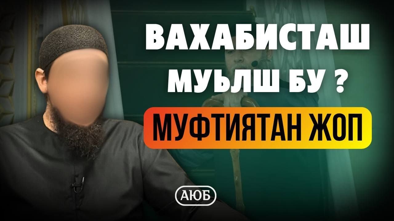 Вахабисташ муьлш бу? | Муфтиятан жоп | Аюб