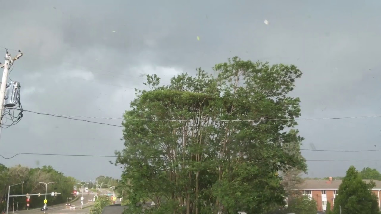60MPH Wind Blows Tree Into Powerlines