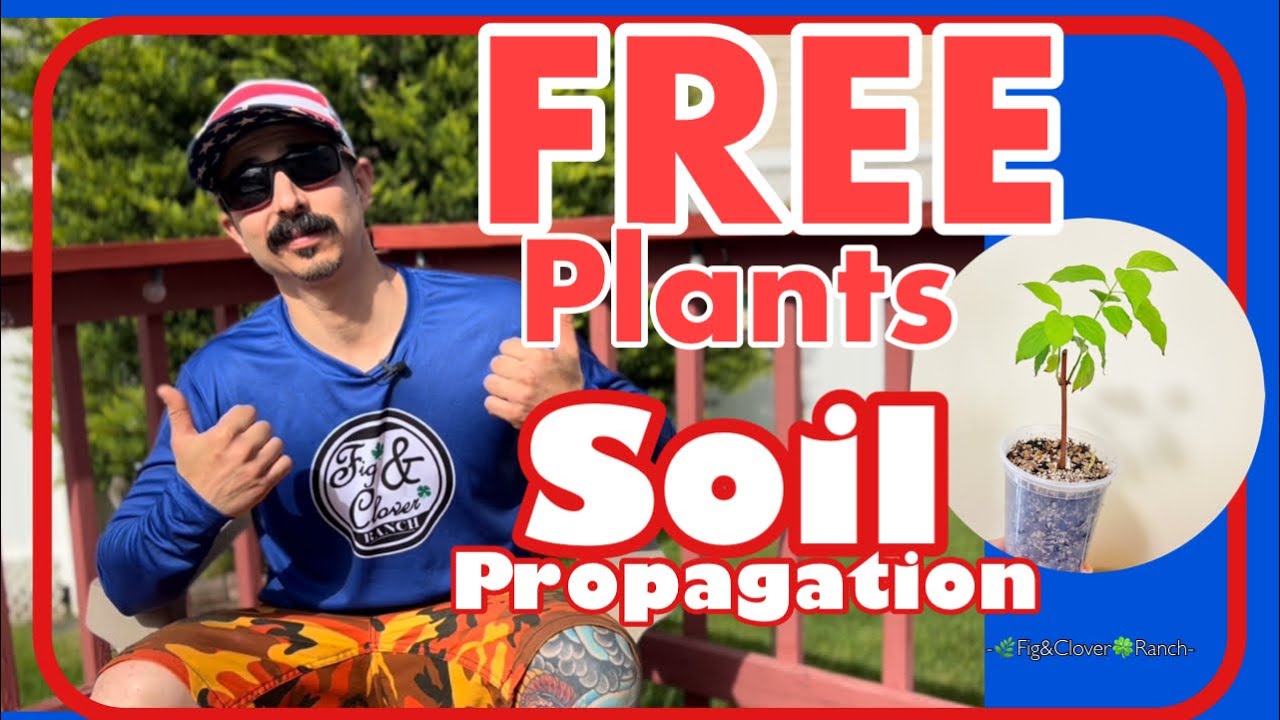 FREE PLANTS - Soil Plant Propagation - Browse For Deer 🦌