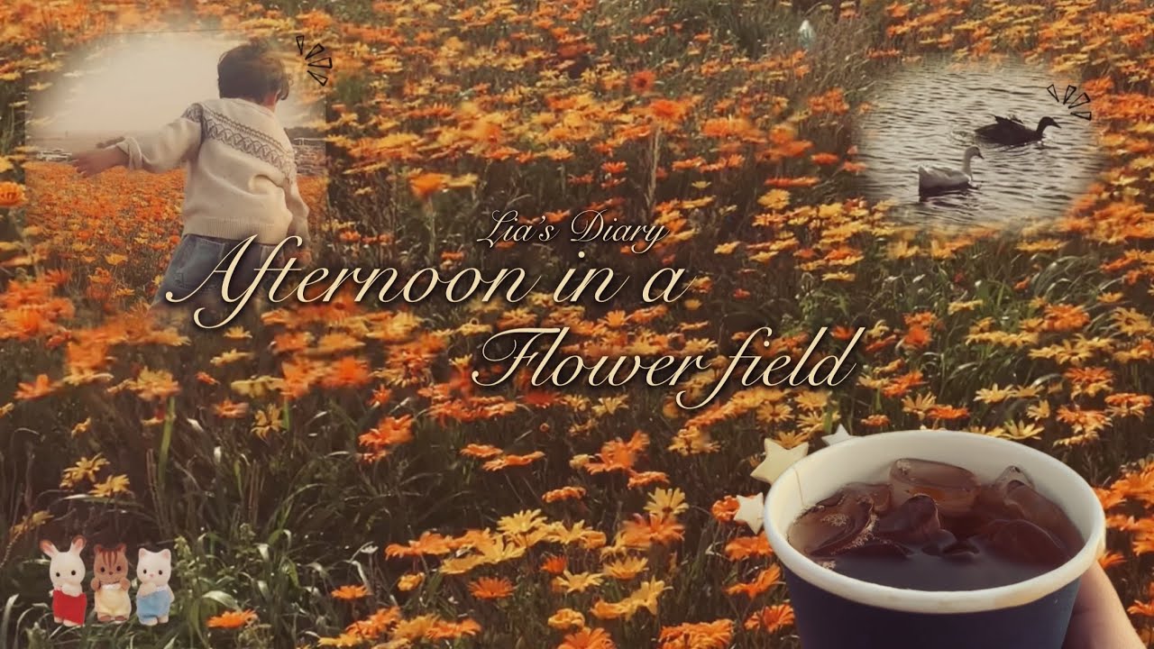 Afternoon in a flower field ~Lia&rsquo;s Diary