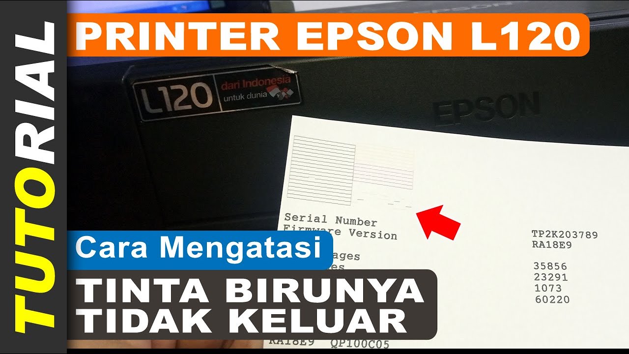 Cara Mengatasi Tinta Biru Epson L120 Tidak Keluar, Sudah Head Clean Tetap Tidak Keluar Normal