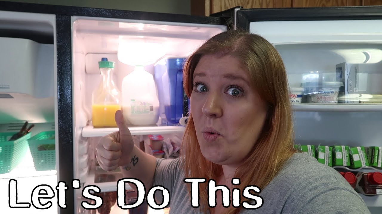 Spring Cleaning My Fridge | Cleaning Motivation | FT. 50 Shades of Mom