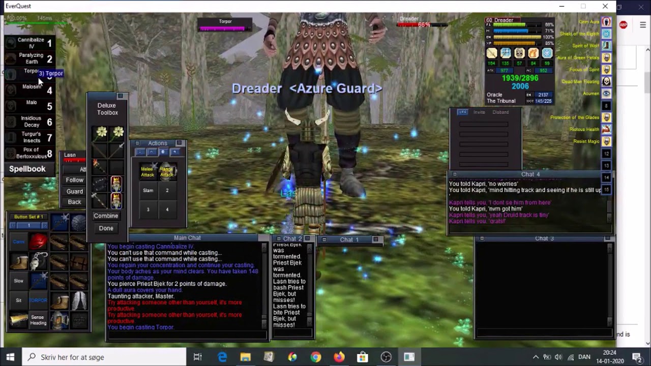 Shaman solo Priest Bjek in Wakening Land