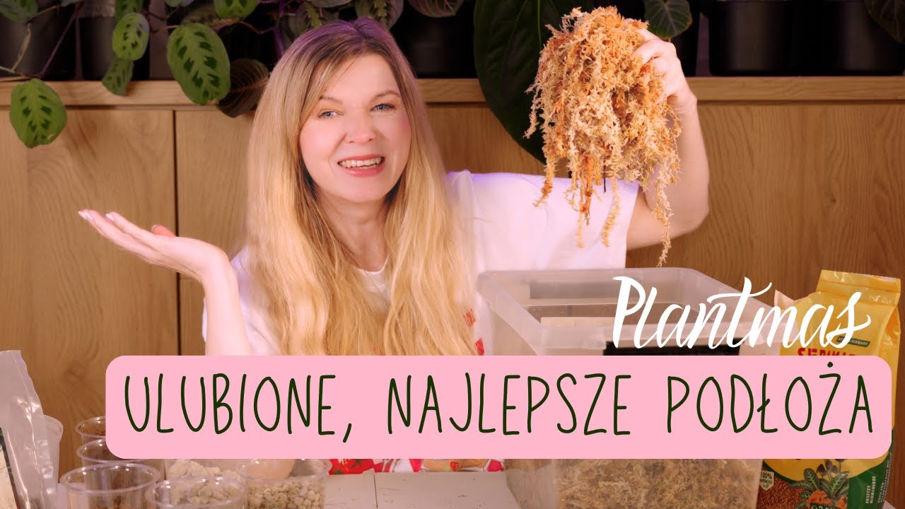 Najlepsze podłoża! Cztery ulubione podłoża, które są ze mną od lat