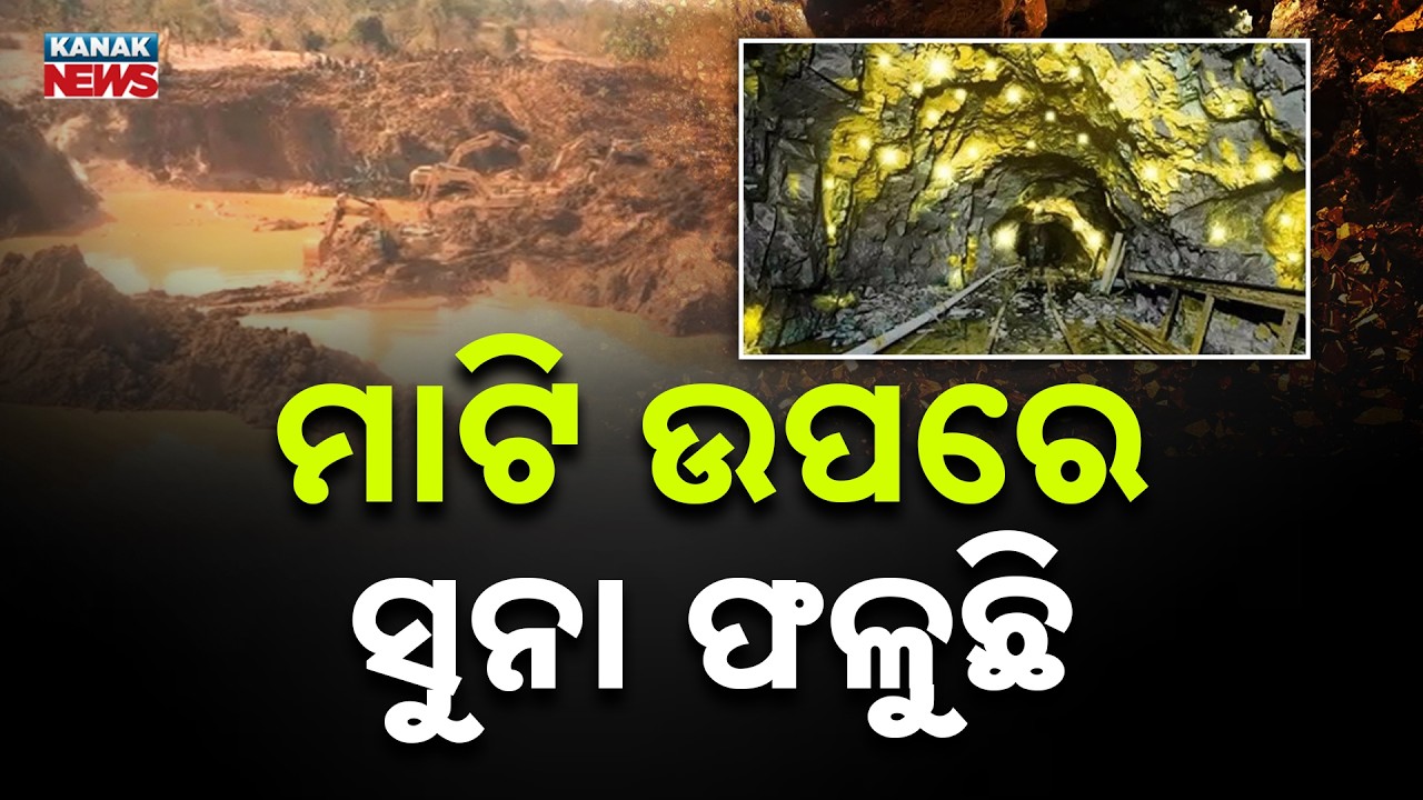 Gold Found In Mayurbhanj, Odisha: Exciting Discovery After Keonjhar