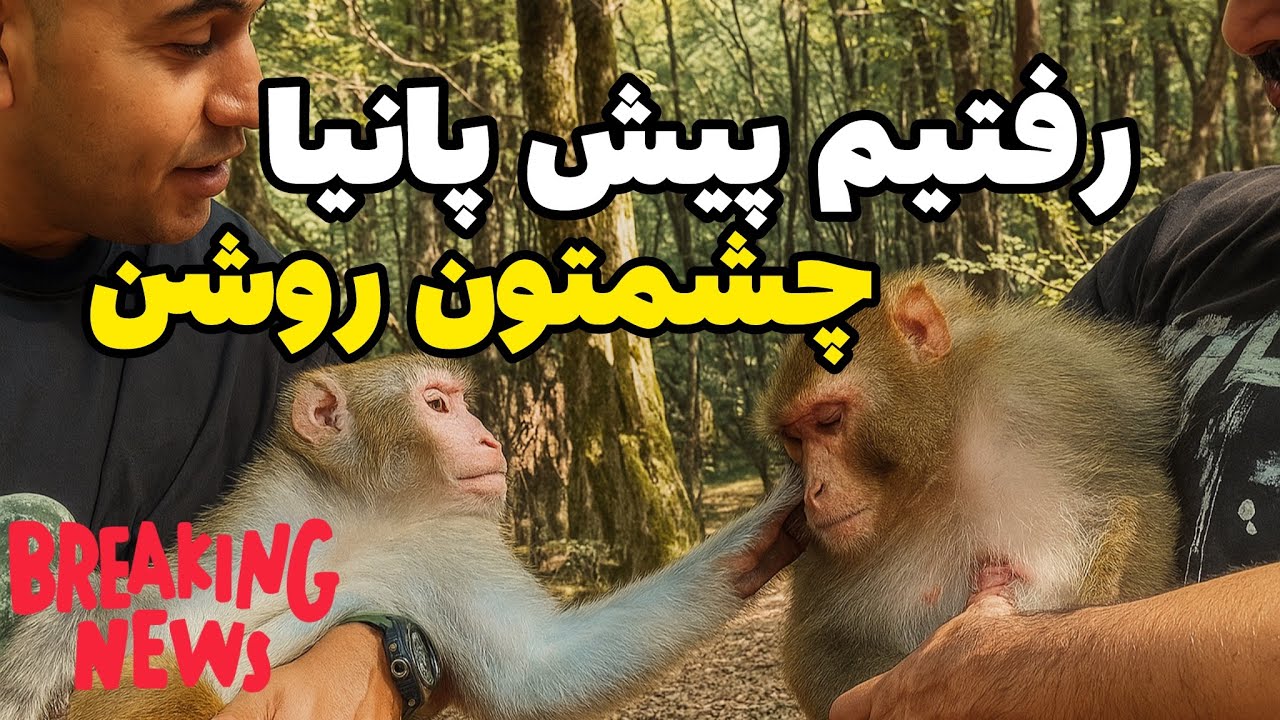 با مارسل رفتیم پیش پانیا چشمتون روشنننن …