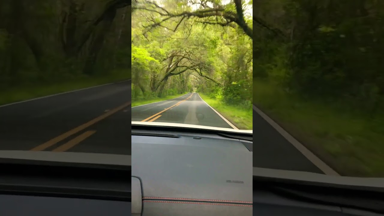 Ocala is different Y&rsquo;all!