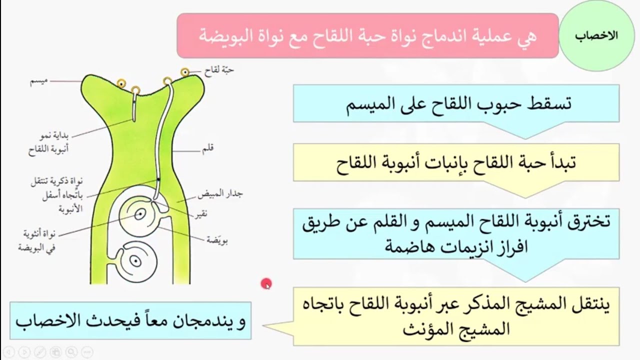 التلقيح و الاخصاب |قناة المعلم المبدع