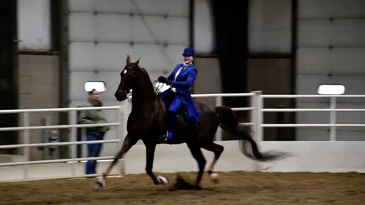 Nic and Oliver in Class 107 - 5 GTD Country Pleasure Championship @ Spooktacular on Oct 19, 2025