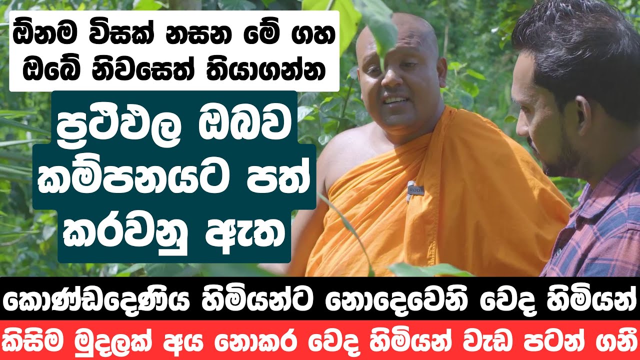 ඕනම විසක් නසන මේ ගහ ඔබේ නිවසෙත් තියාගන්න, ප්‍රථිඵල ඔබව කම්පනයට පත් කරවනු ඇත